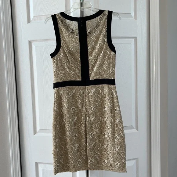 BCBG PARIS- Beige Lace Dress Size 8 - Picture 3 of 11